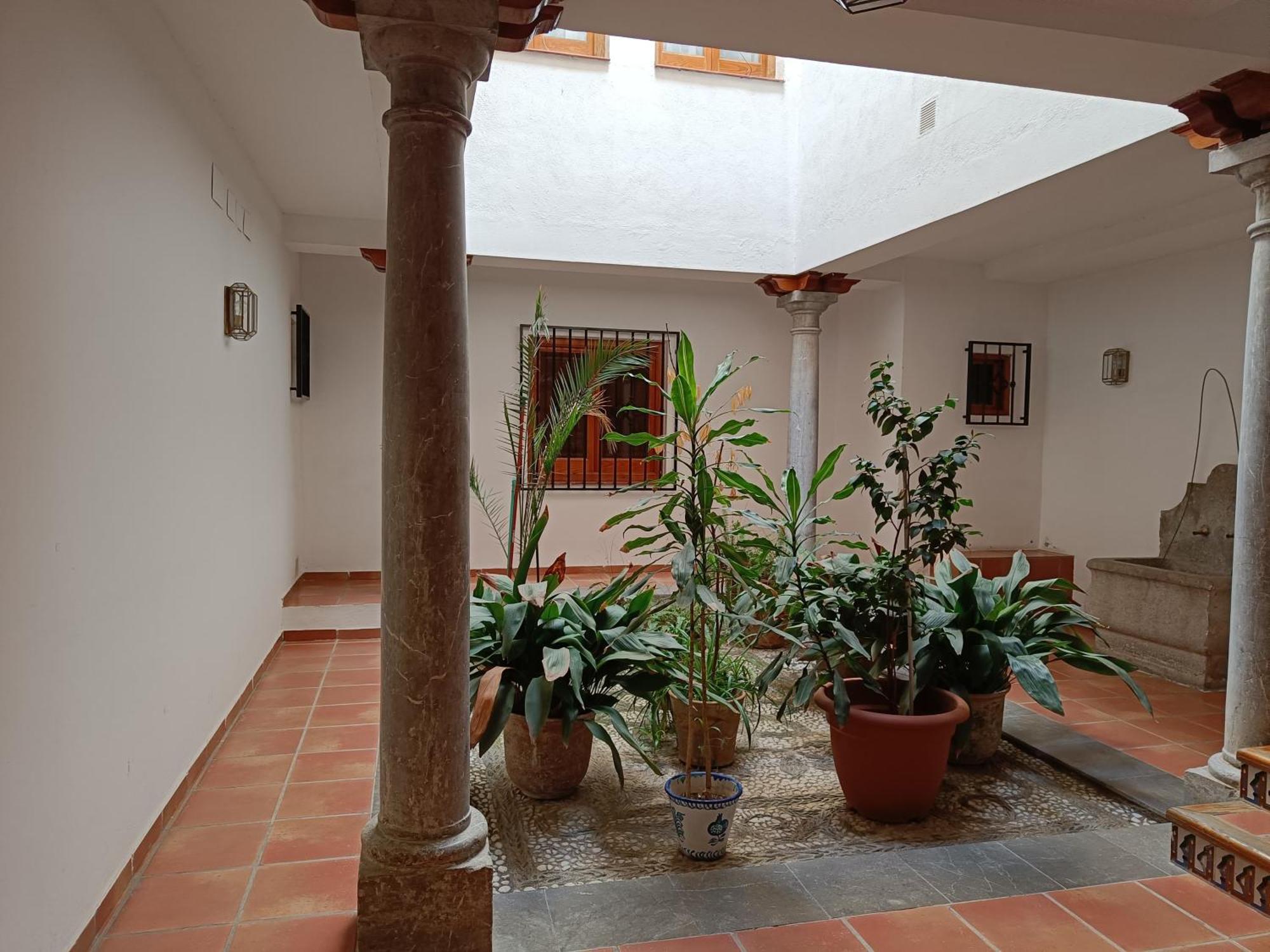 Apartamento Concepcion Granada Centro Eksteriør billede